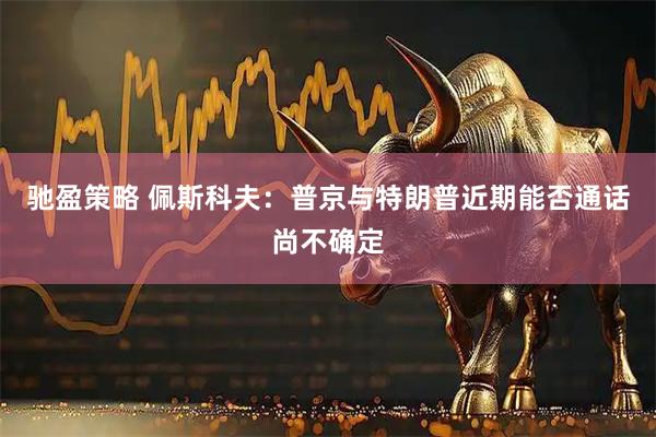 驰盈策略 佩斯科夫:普京与特朗普近期能否通话尚不确定
