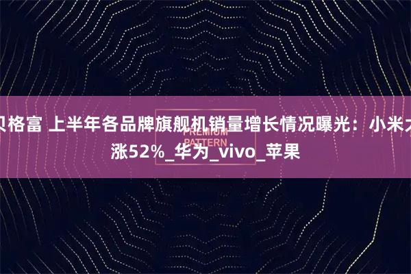 贝格富 上半年各品牌旗舰机销量增长情况曝光:小米大涨52%_华为_vivo_苹果