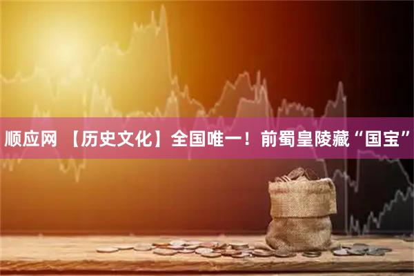 顺应网 【历史文化】全国唯一！前蜀皇陵藏“国宝”