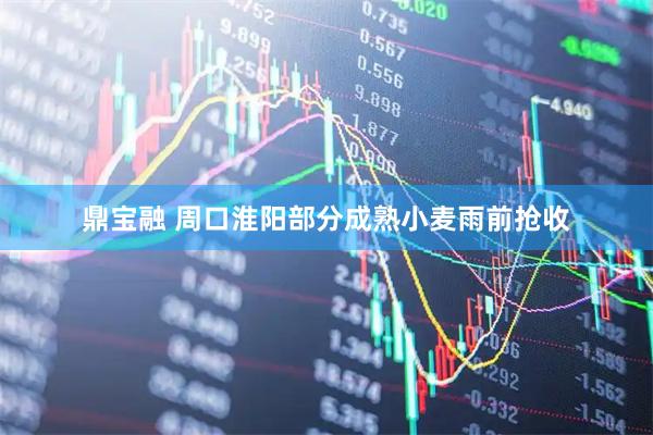鼎宝融 周口淮阳部分成熟小麦雨前抢收